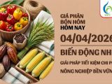 Giá phân bón hôm nay 04/04/2026: Biến động nhẹ và giải pháp tiết kiệm chi phí cùng BMFE CORP