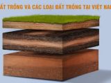 ĐẤT TRỒNG VÀ CÁC LOẠI ĐẤT TRỒNG TẠI VIỆT NAM (Tiếp Theo) – Đặc Điểm, Ưu Nhược Điểm và Cách Cải Tạo