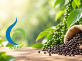 Giá hồ tiêu hôm nay 22/9/2026: Cao nhất 141.000 đồng/kg