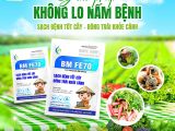 BM FE70 – Giải pháp toàn diện phòng trị nấm bệnh, giúp cây khỏe mạnh, trái bóng cành xanh