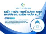 Hộ kinh doanh 2025 – Đã đến lúc nâng tầm quản trị thuế để phát triển bền vững