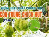 NHÓM HOẠT CHẤT PHÒNG TRỪ CÔN TRÙNG CHÍCH HÚT (Phần 1)