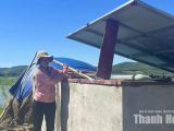 Biến phụ phẩm nông nghiệp thành lá chắn sinh học cải tạo đất