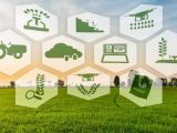 Bảo hiểm nông nghiệp và Tín dụng xanh 2026: Lá chắn tài chính cho nhà nông