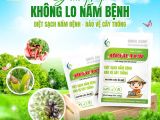 BMFE CORP – Giải pháp không lo nấm bệnh cho cây trồng với Metalaxyl
