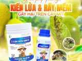 Tại sao cần quản lý kiến lửa trong vườn?