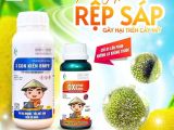 Giải pháp đặc trị rệp sáp trên cây mít – Chỉ 1 lần phun, không lo kháng thuốc