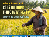 Xử lý dư lượng thuốc BVTV trên lúa: Bí quyết đạt chuẩn xuất khẩu