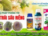 BỌ XÍT MUỖI TẤN CÔNG – NGUY CƠ GÂY HẠI CHO TRÁI SẦU RIÊNG!