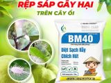 Kiểm Soát Rệp Sáp – Bảo Vệ Cây Ổi Khỏe Mạnh Cùng BMFE!