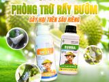Rầy bướm – Mối nguy hại tiềm ẩn trên cây ăn trái và giải pháp quản lý hiệu quả từ BMFE