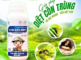 Giải pháp diệt côn trùng toàn diện từ BMFE