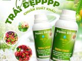 AMINO LIQUID BMFE – Giải Pháp Cho Trái Cà Phê To Đẹp Chuẩn Xuất Khẩu!