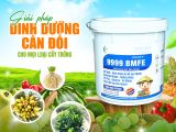 9999 BMFE – Giải pháp dinh dưỡng toàn diện cho cây trồng trong giai đoạn ra hoa và nuôi trái