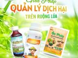 BMFE – Giải pháp quản lý dịch hại toàn diện cho ruộng lúa