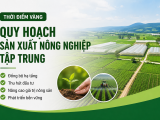 Thời Điểm Vàng Quy Hoạch Sản Xuất Nông Nghiệp