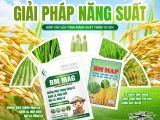 Giải Pháp Tăng Năng Suất Cây Lúa 10–20% Với Bộ Đôi BM MAG và BM MAP