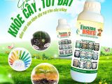 Giải pháp khỏe cây – tốt đất: Enzyme BMFE – Vi sinh chuyên biệt cao kiểm soát nấm bệnh
