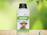 Rầy Xanh Trên Cây Sầu Riêng – Đặc Điểm, Tác Hại và Biện Pháp Phòng Trừ Hiệu Quả
