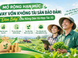Mở Rộng Hạn Mức Vay Vốn Không Tài Sản Bảo Đảm Lên 5 Tỷ Đồng