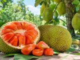 Giá Mít Ruột Đỏ, Mít Thái Mới Nhất & Kỹ Thuật Đón Đầu Thị Trường