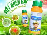 Nhện Sữa BMFE – Giải pháp diệt nhện hại toàn diện cho cây trồng