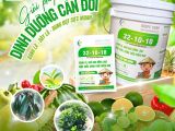 32-10-10 BMFE – Giải pháp dinh dưỡng cân đối giúp cây bật đọt mạnh, xanh lá bền vững
