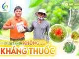 Bí kíp diệt nhện hiệu quả – Không lo kháng thuốc với NHỆN BMFE