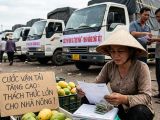 Chi phí vận tải nông sản 2026: Tác động từ giá dầu và giải pháp ứng phó