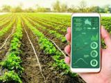 CHUYỂN ĐỔI SỐ NÔNG NGHIỆP 2026: KHI NHÀ NÔNG LÀM CHỦ CÔNG NGHỆ DATA
