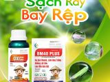 Diệt sạch rầy – rệp trong mùa mưa với bộ đôi Oxi Plus 20EC và BM40 Plus từ BMFE CORP