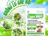 Ghẻ lá, ghẻ trái – Nỗi ám ảnh của nhà vườn cây có múi