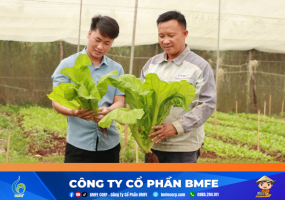 Nông dân Bùi Ngọc Châu: Thấu hiểu đất đai và tư duy như một doanh nhân