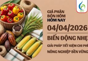 Giá phân bón hôm nay 04/04/2026: Biến động nhẹ và giải pháp tiết kiệm chi phí cùng BMFE CORP