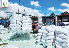 Xuất khẩu gạo sang Châu Phi tăng vọt: Cơ hội cho lúa gạo Việt Nam và giải pháp từ BMFE CORP