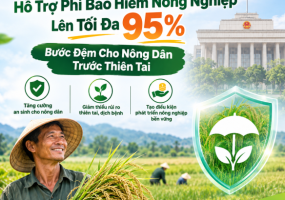 Hỗ Trợ 95% Phí Bảo Hiểm Nông Nghiệp: Tấm Lá Chắn Cho Nông Dân