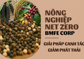 Nông nghiệp Net Zero: Giải pháp canh tác giảm phát thải cùng BMFE CORP