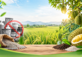 Cảnh Báo Phân Bón Giả Vừa Bị Triệt Phá: Bà Con Cần Làm Gi Đề Bảo Vệ Mùa Màng?