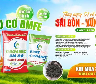 Mua 3 tấn Hữu cơ BMFE tặng vé Hội nghị 2027