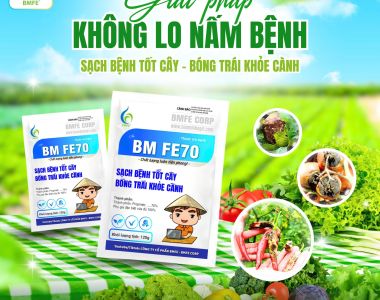 BM FE70 – Giải pháp toàn diện phòng trị nấm bệnh, giúp cây khỏe mạnh, trái bóng cành xanh