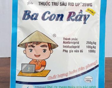 ក្រូចសាច់ទន់ (Aphids) លើបន្លែ – មូលហេតុ, សារប្រយោជន៍ និងវិធានការប្រយុទ្ធមានប្រសិទ្ធភាព