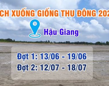 ChatGPT đã nói: នេះជាការបកប្រែជាភាសាខ្មែរសម្រាប់ ប័ណ្ណព័ត៌មានកសិកម្ម – ថ្ងៃទី 27 ខែមិថុនា ឆ្នាំ 2025៖