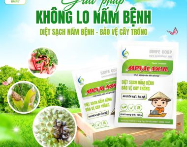 BMFE CORP – Giải pháp không lo nấm bệnh cho cây trồng với Metalaxyl