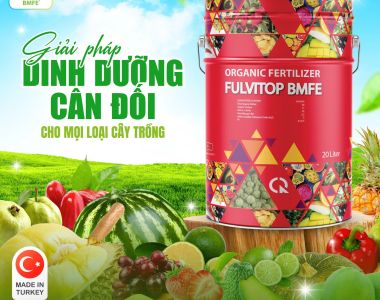 Giải pháp dinh dưỡng cân đối cho mọi loại cây trồng: Fulvitop BMFE