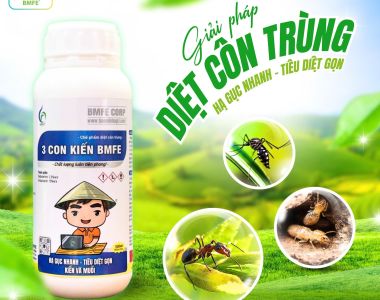 Giải pháp diệt côn trùng toàn diện từ BMFE