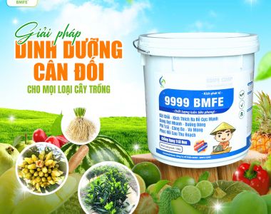 9999 BMFE – Giải pháp dinh dưỡng toàn diện cho cây trồng trong giai đoạn ra hoa và nuôi trái