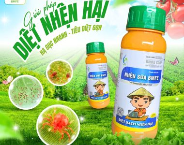 Nhện Sữa BMFE – Giải pháp diệt nhện hại toàn diện cho cây trồng
