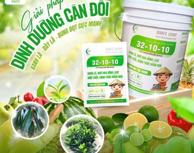 32-10-10 BMFE – Giải pháp dinh dưỡng cân đối giúp cây bật đọt mạnh, xanh lá bền vững