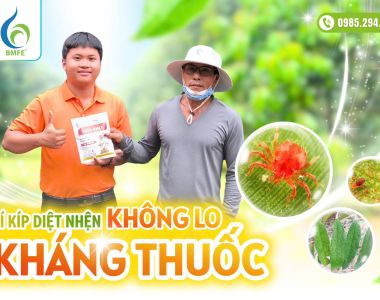 Bí kíp diệt nhện hiệu quả – Không lo kháng thuốc với NHỆN BMFE