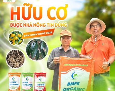 Phân Bón Hữu Cơ BMFE – Giải Pháp Được Nhà Nông Tin Dùng, Bán Chạy Nhất 2025